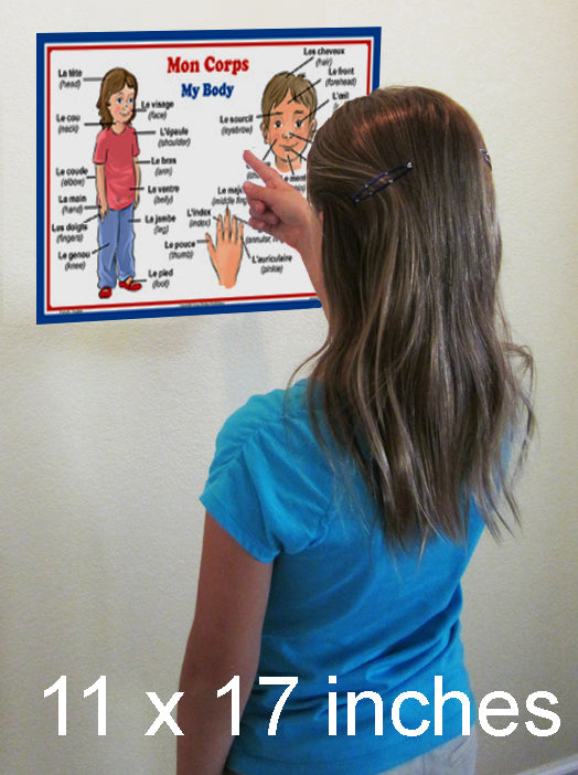 French Language School Poster Words About Parts Of The Body Wall Ch Long Bridge Publishing